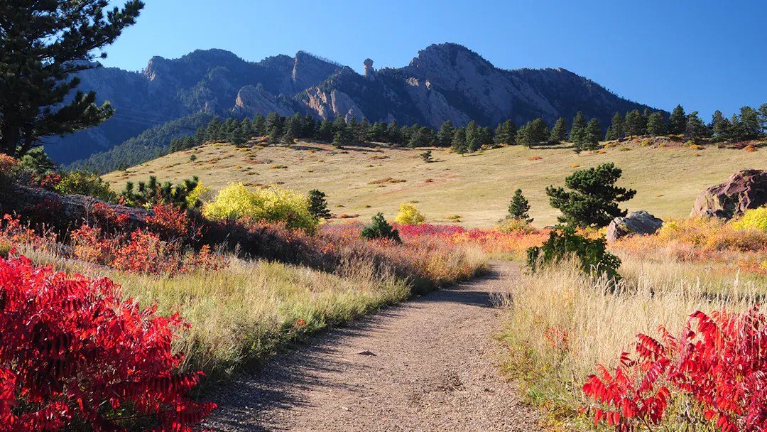 View from South Mesa Trailhead shows a trail leading to the Flatirons