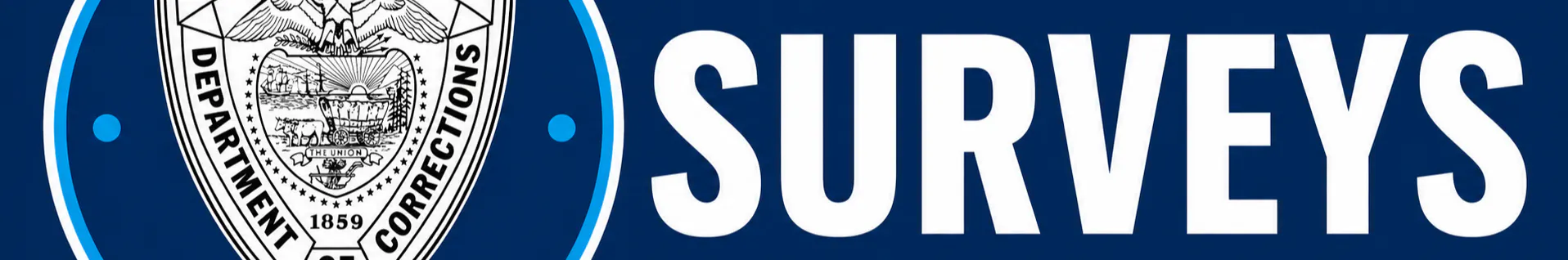 Surveys Banner