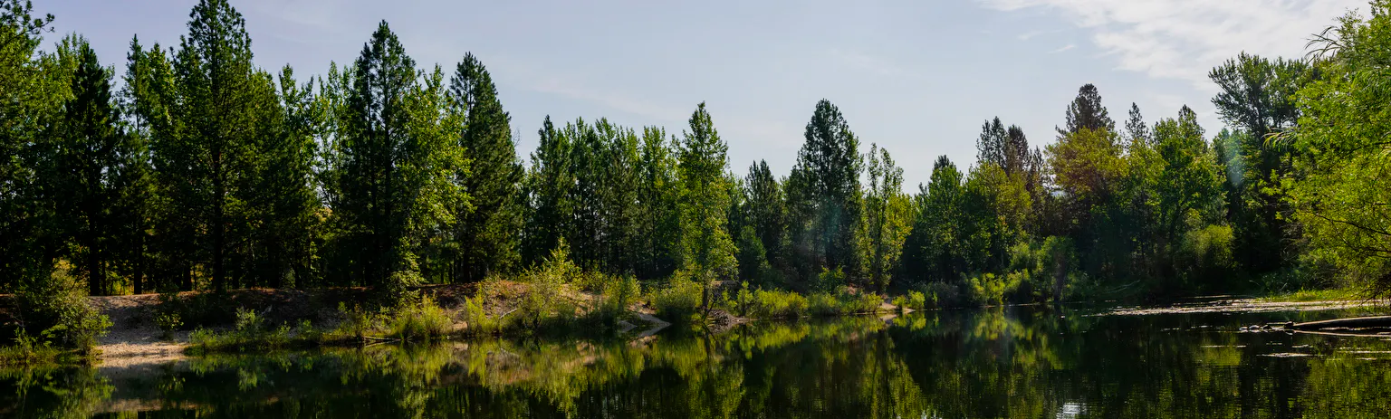 A body of dark water with trees in the background and blue skies. 