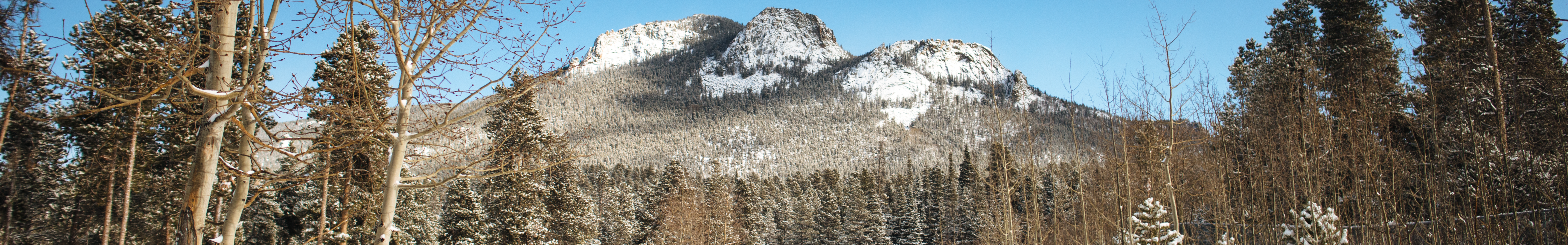 Winter Landscape in Colorado with Snow on Ground and Mountain in Background