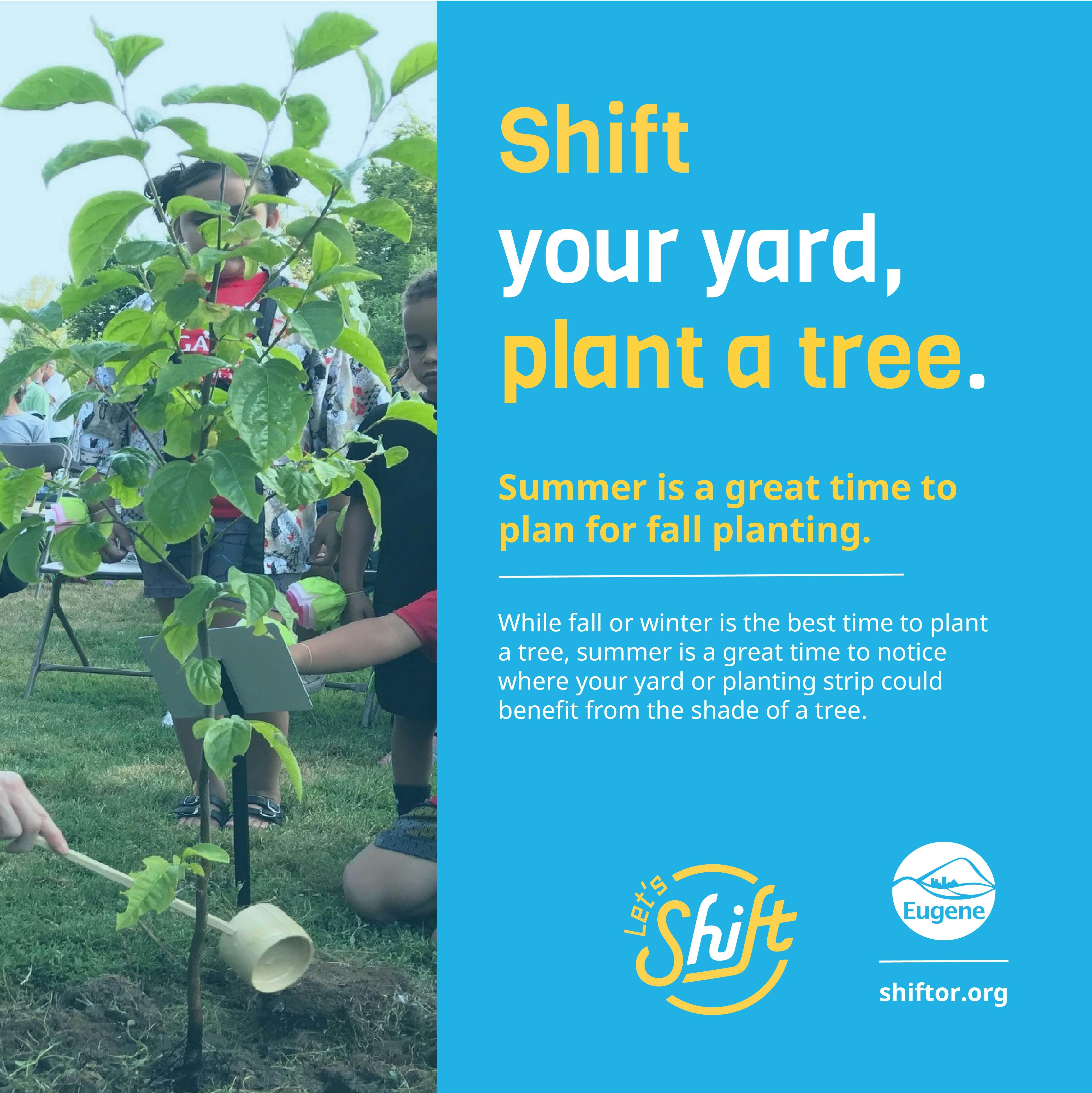 Shift_social-IG Tree Planting.jpg