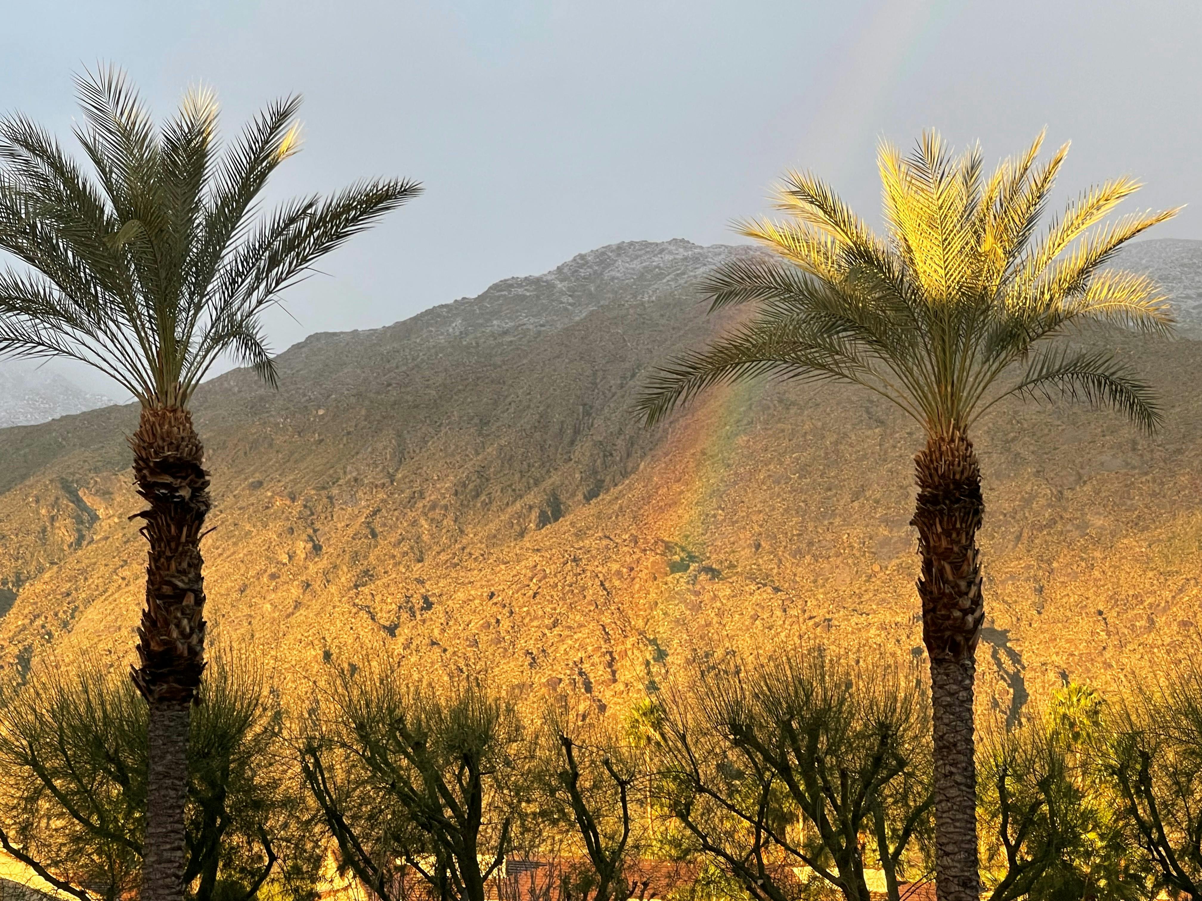 A view of the San Jacinto Mountains from the west entrance