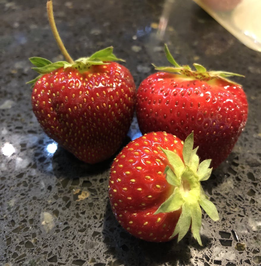 Clinton County Garden Harvest.jpg