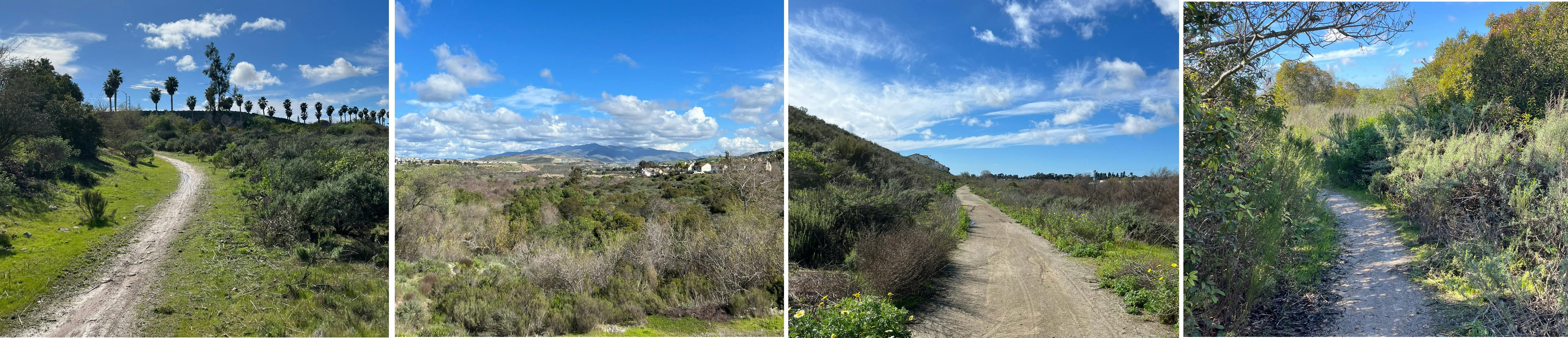 Trails Along the River Valley