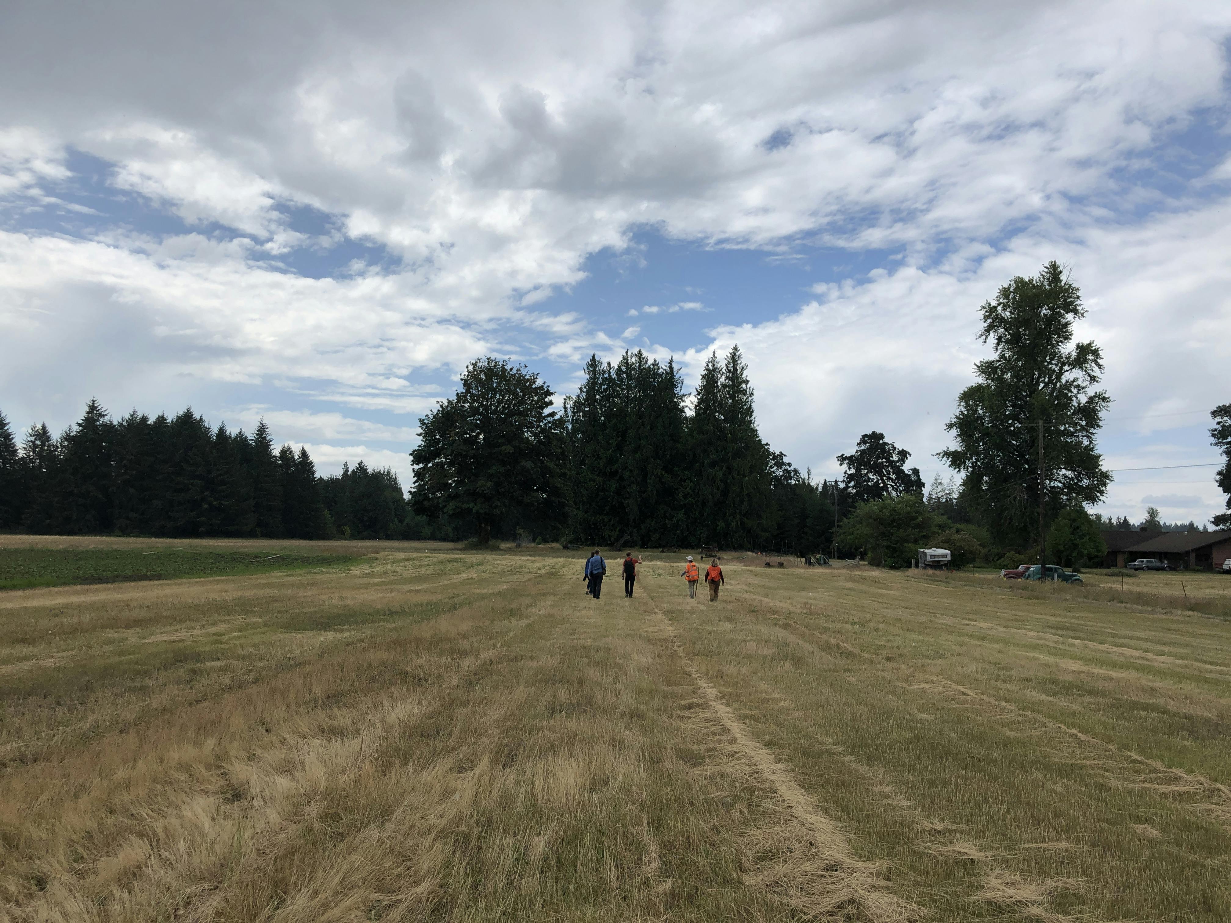Empty field at Yelm Highway Community Park site