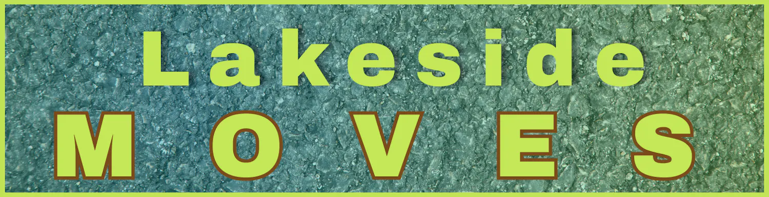 project banner