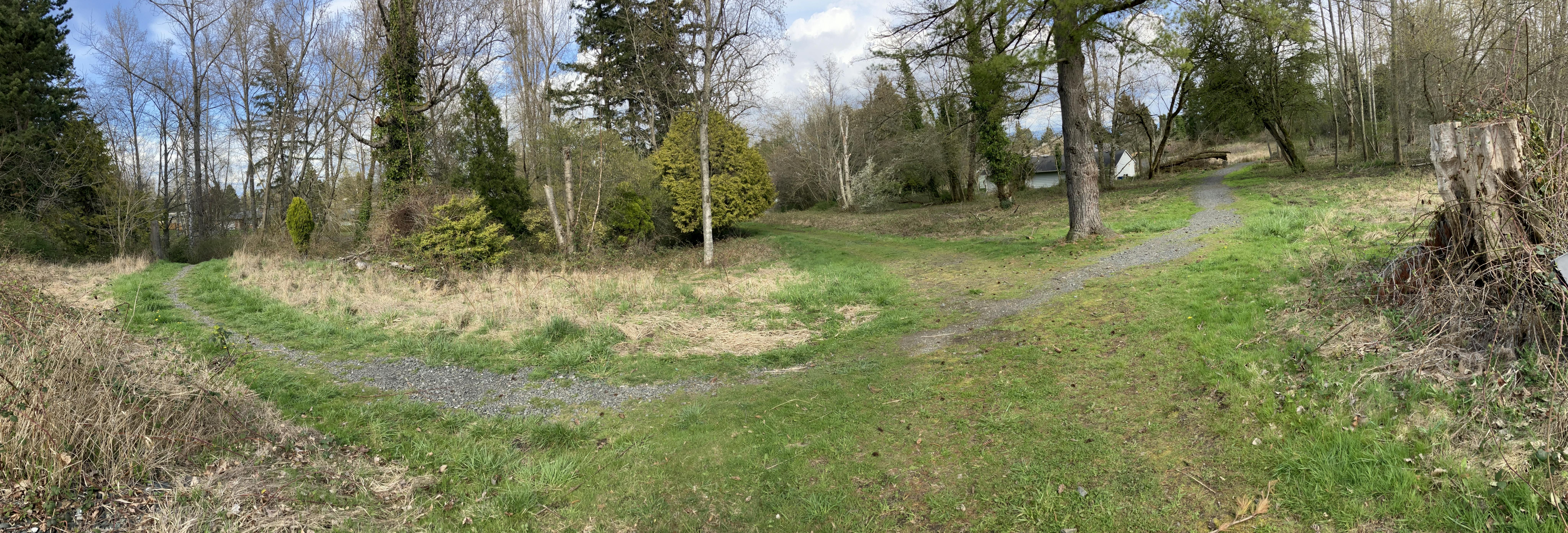 View from playground area to the driveway