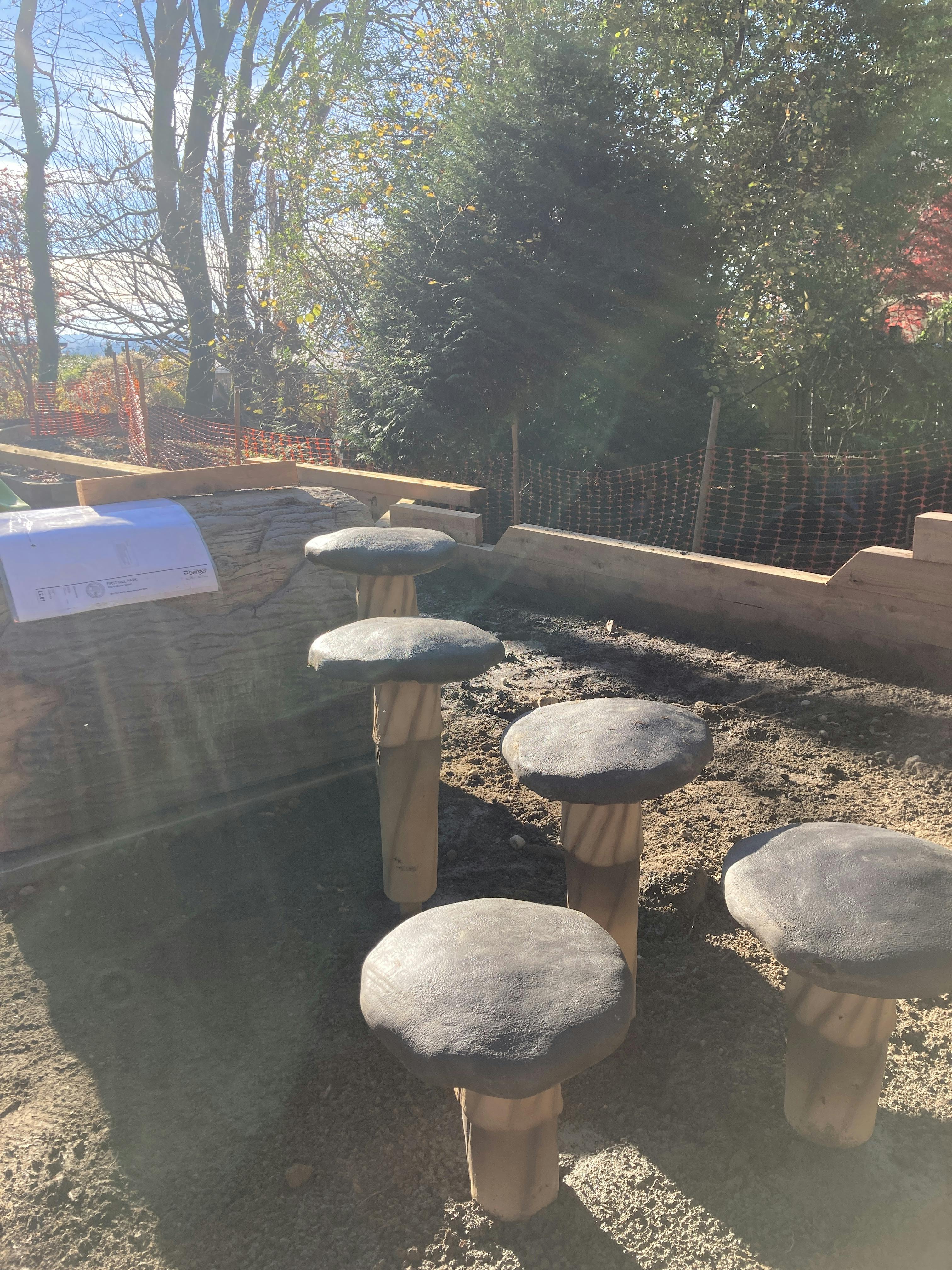 New mushroom steppers and log tunnel