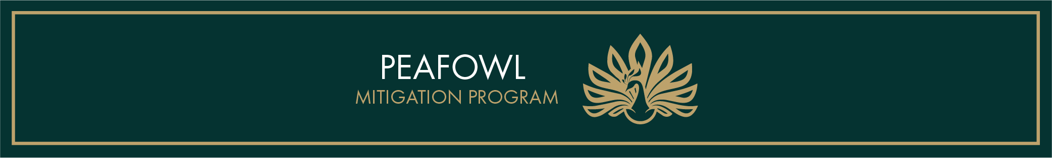 Peafowl Page Banner