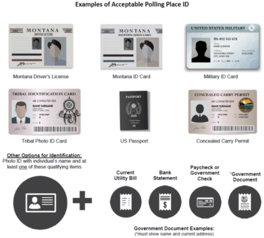 Examples of acceptable IDs