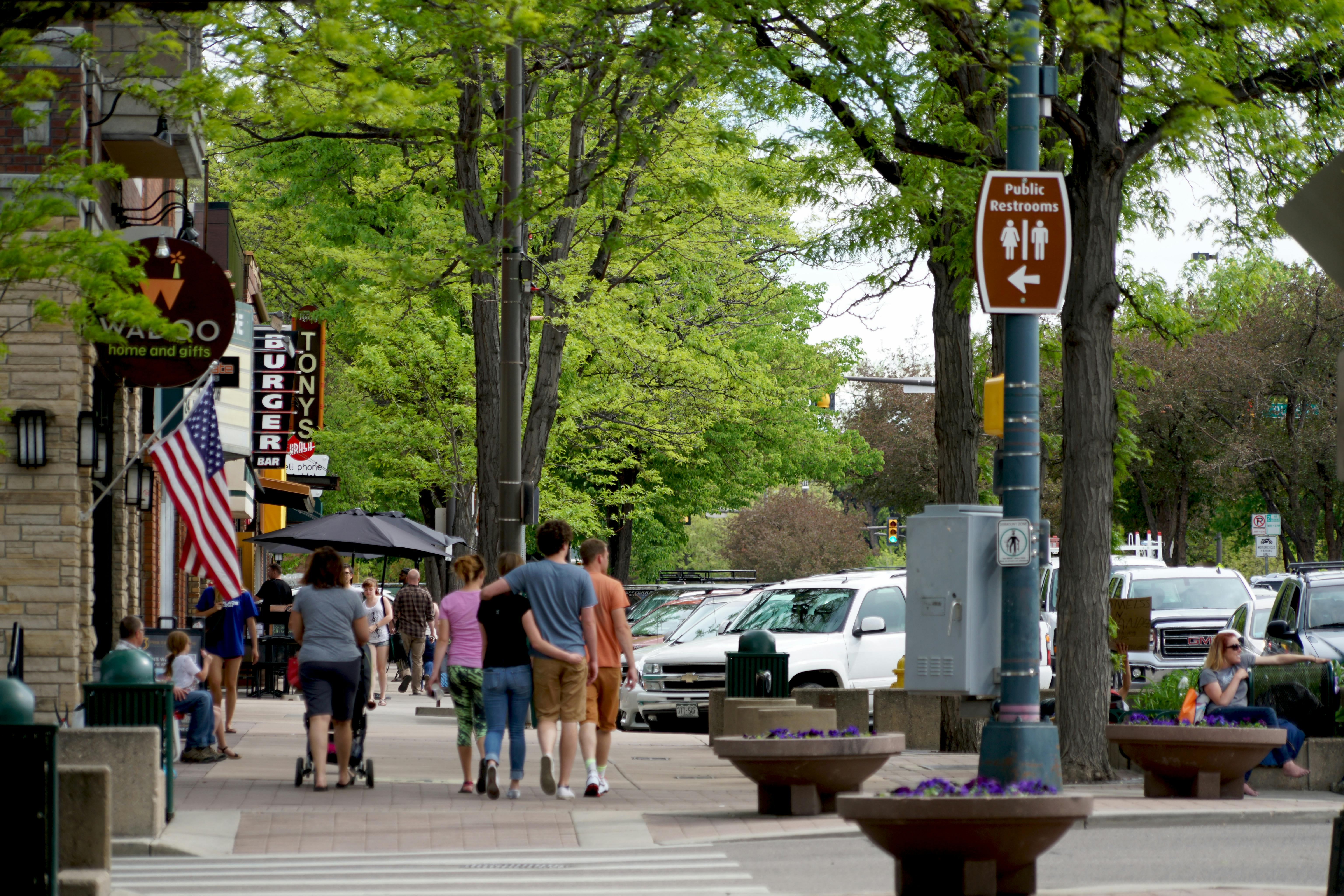 Trees in downtown Fort Collins
