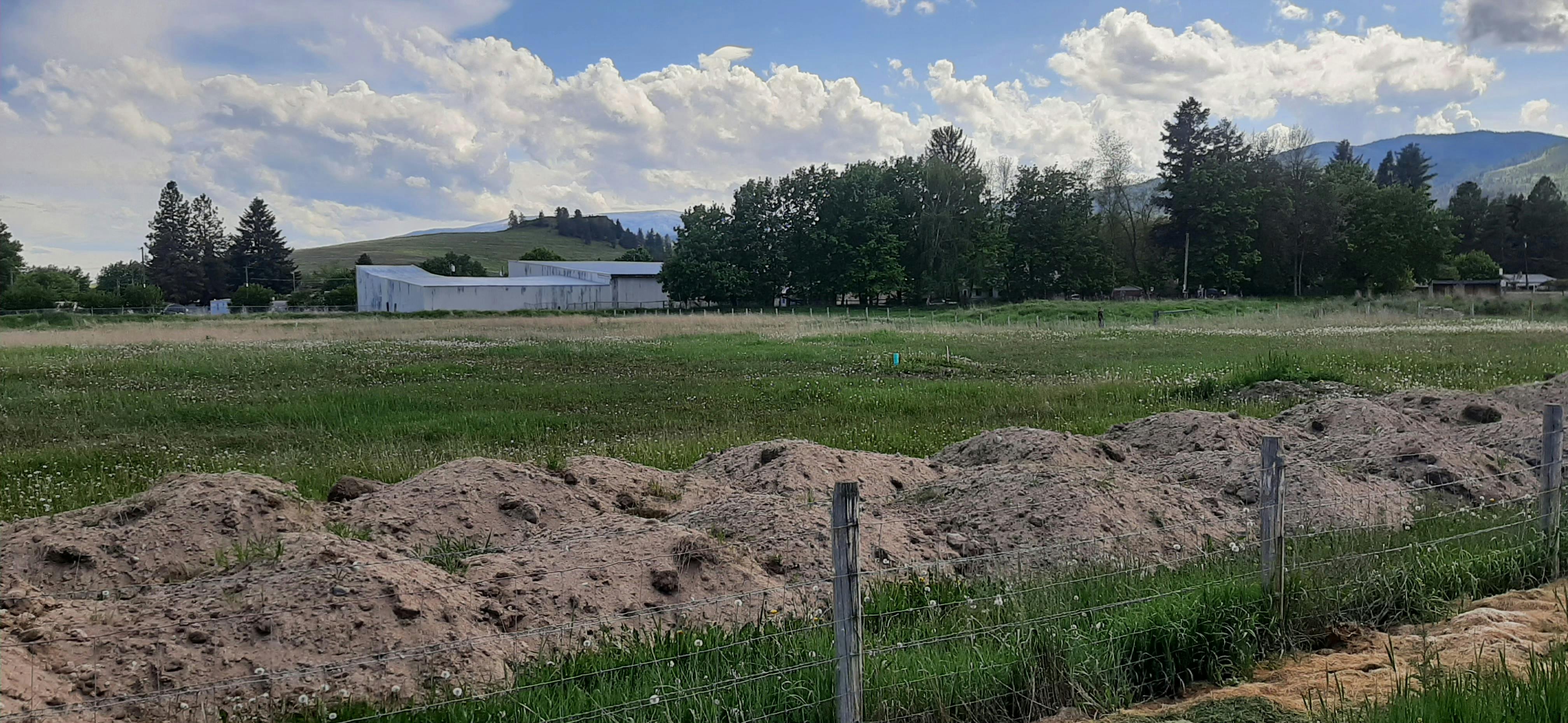 Dairy Subdivision Site - View from North Avenue