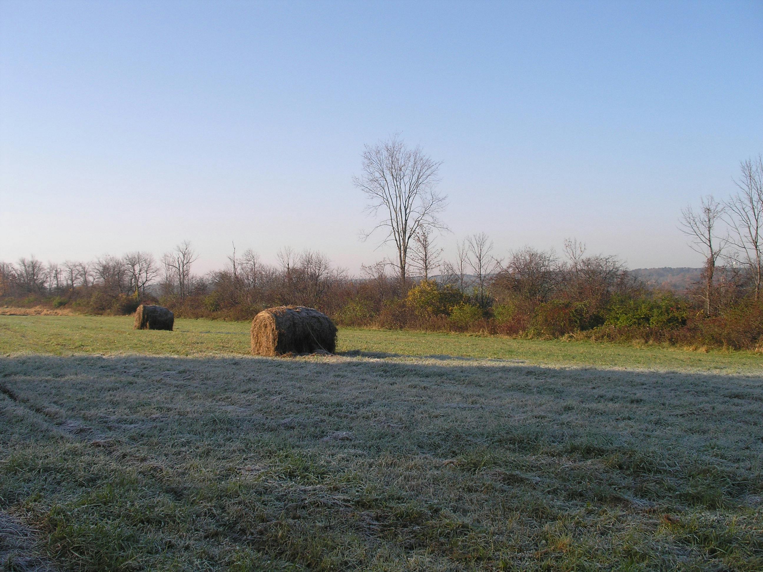 Hay Bales_round_Sugar Hill Road farm_Cotton Property.JPG