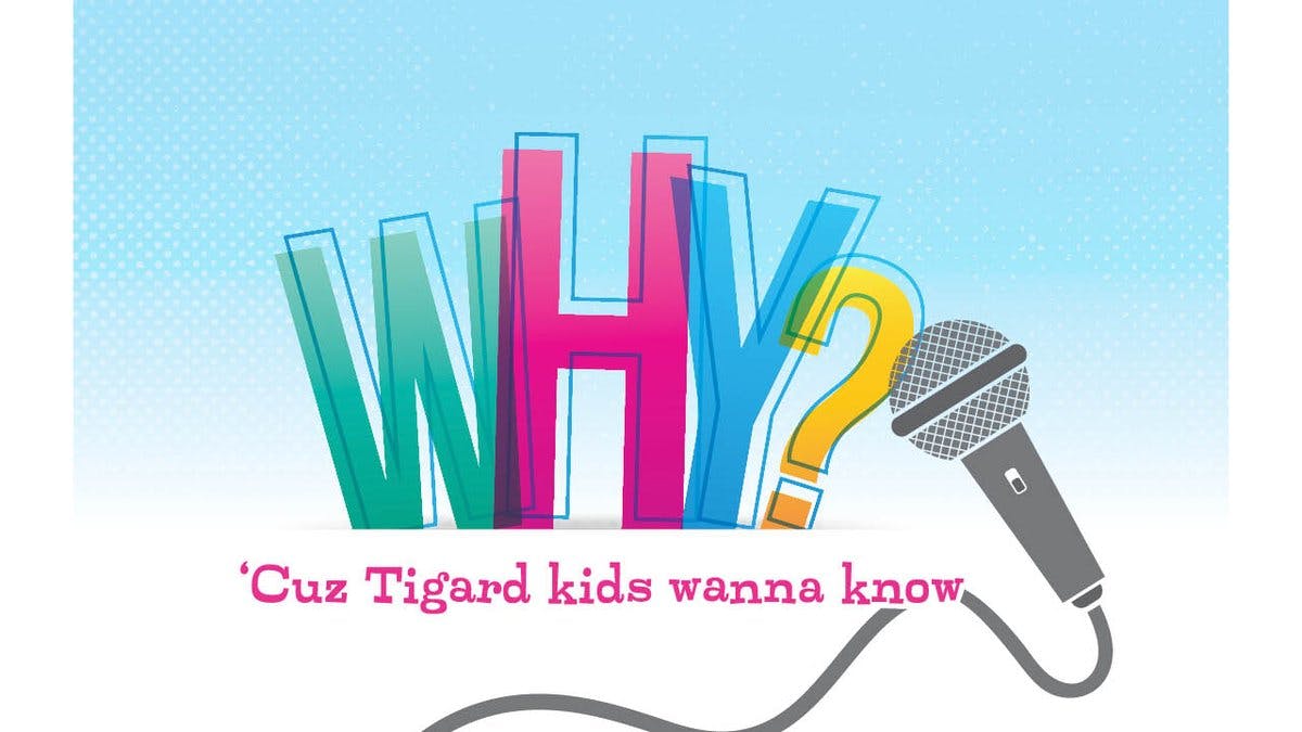 D1 E Eok Guya Ac I Yc