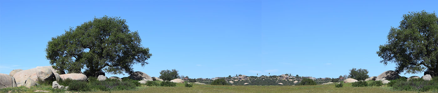 project banner