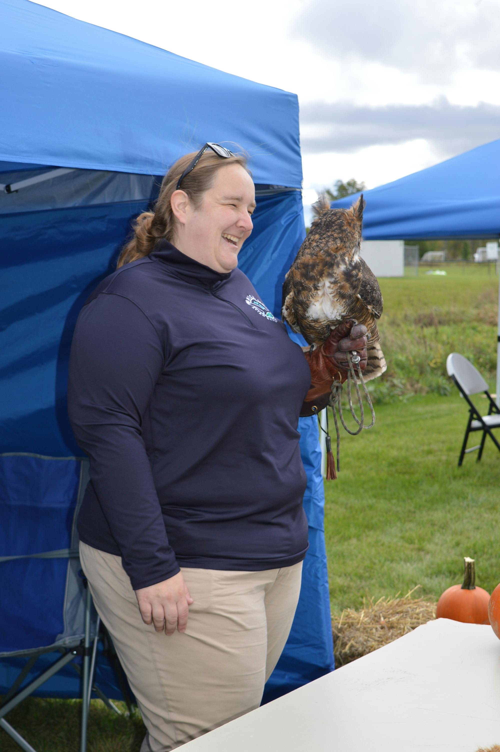 Michigan Avian Experience featuring birds of prey.