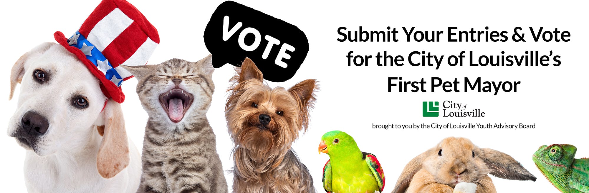 Vote for First Pet Mayor of Louisville!