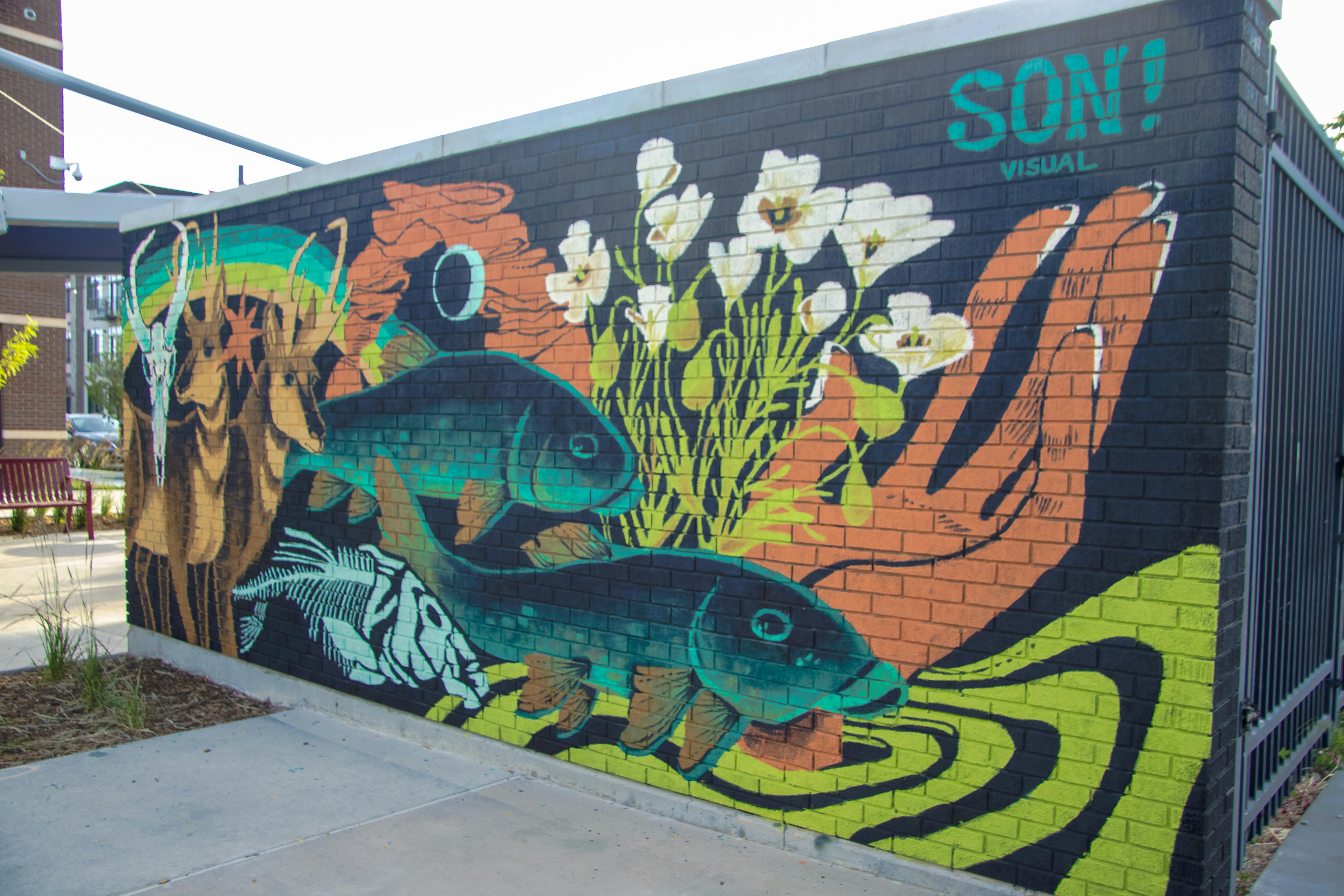 Eddie Chaffer (@son.visual)