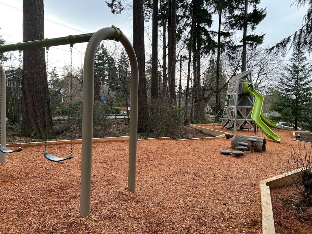 A neighborhood playground features a 2-swing swing set and a 20' tall climbing structure with two bright green slides.