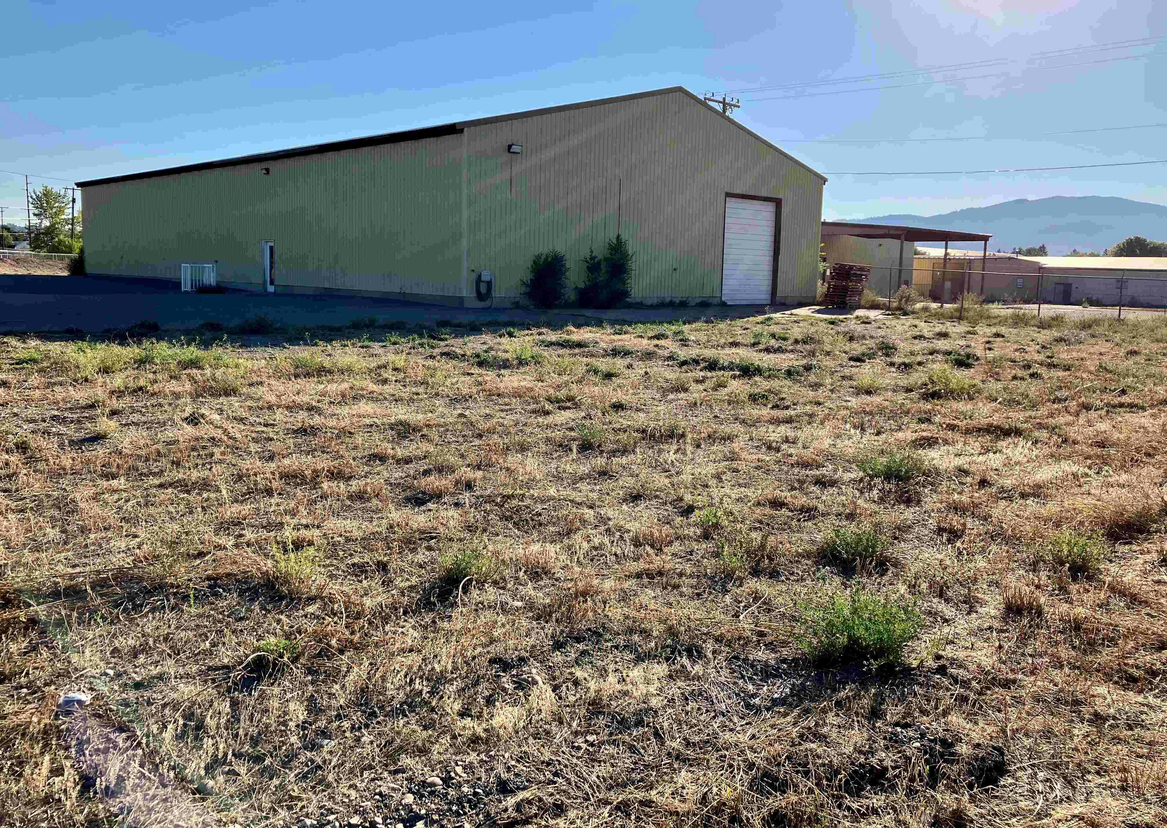 IMG_E1648 reduced.jpg