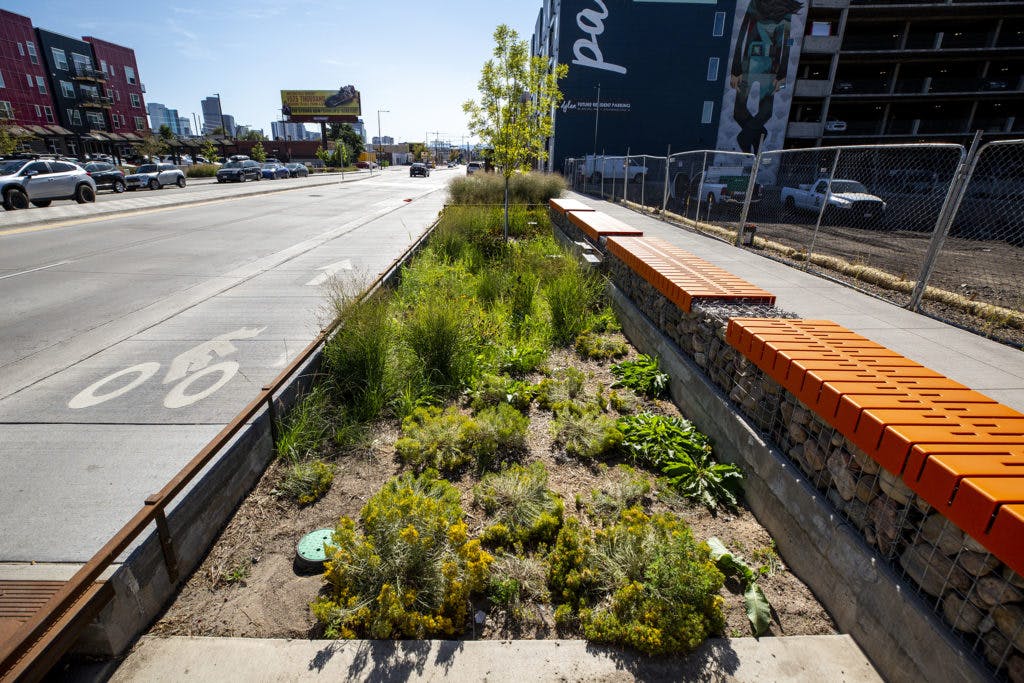 Green infrastructure (GI) along Brighton Boulevard in Five Points. This GI captures excess stormwater while also providing seating for pedestrians and other street users. (Kevin J. Beaty/Denverite)