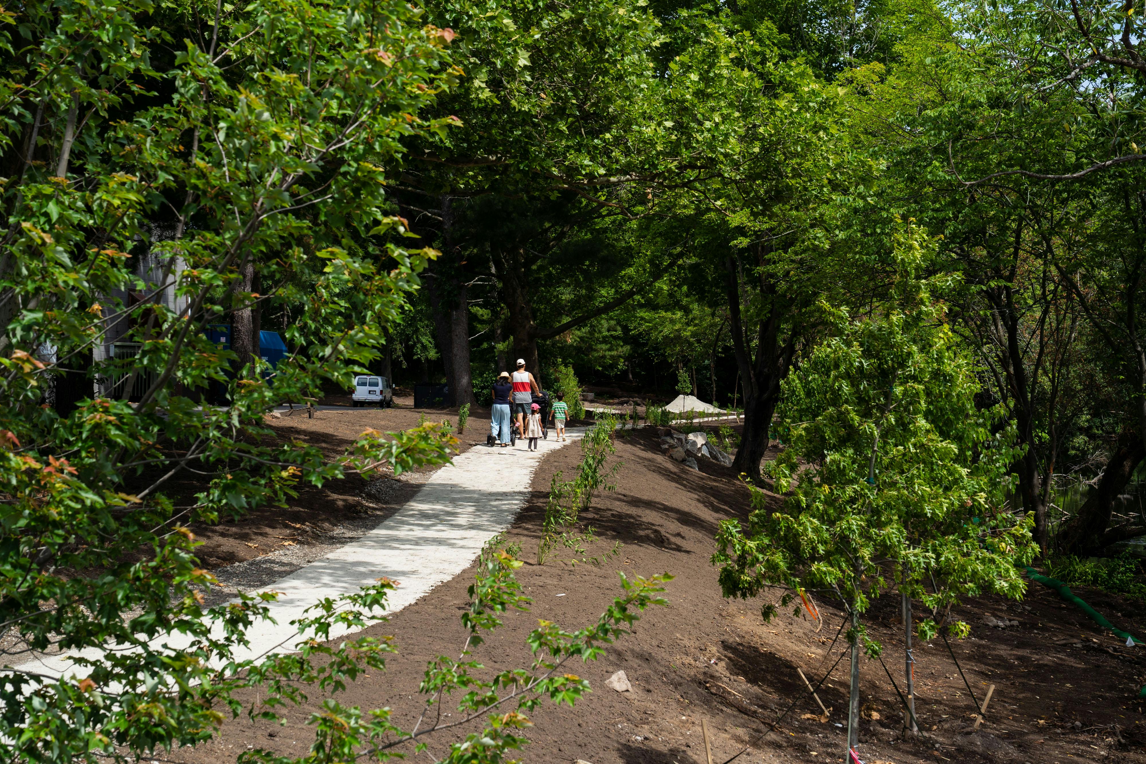 Pollinator Pathway, Looking North