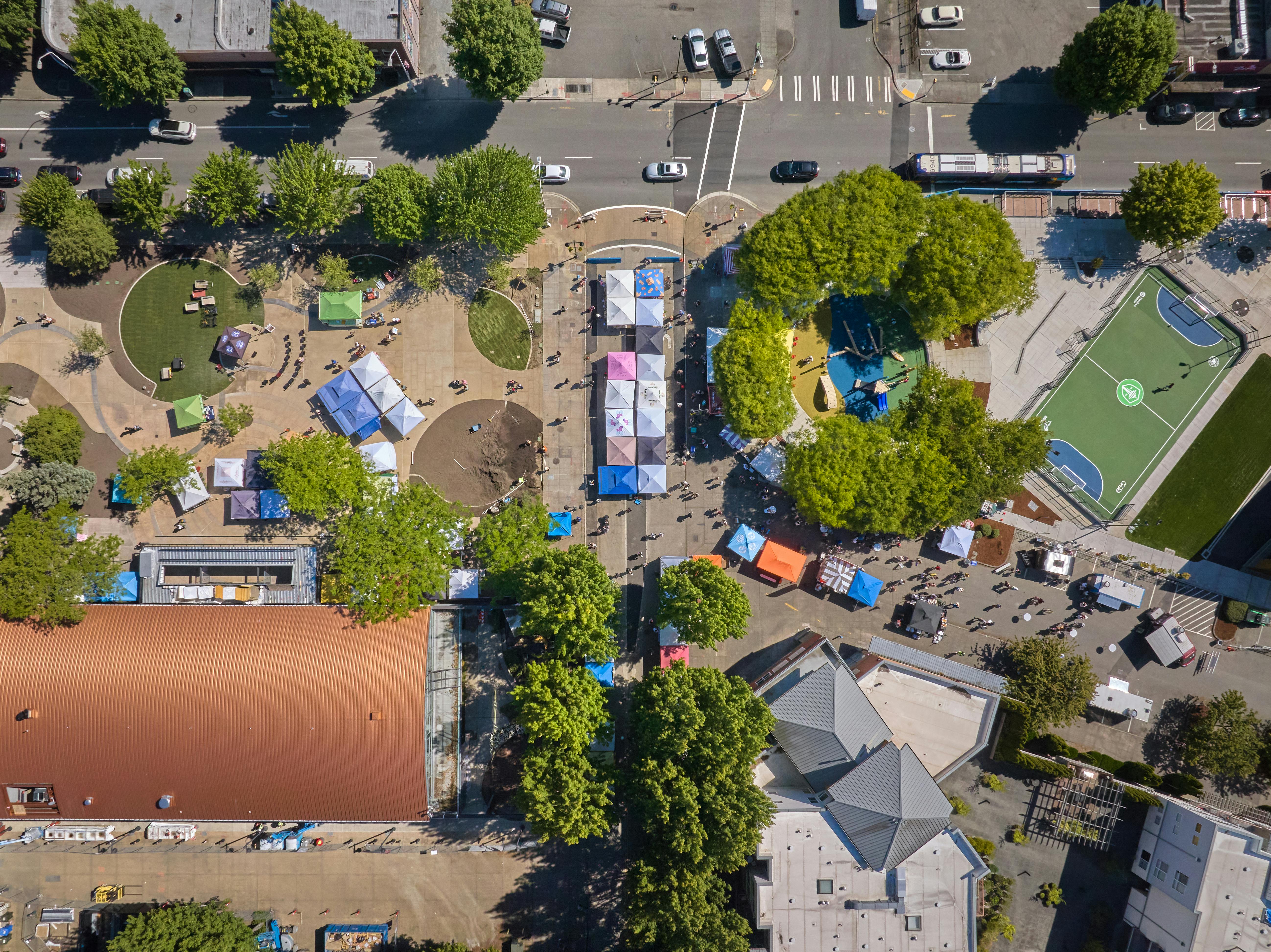 Top Down.jpg