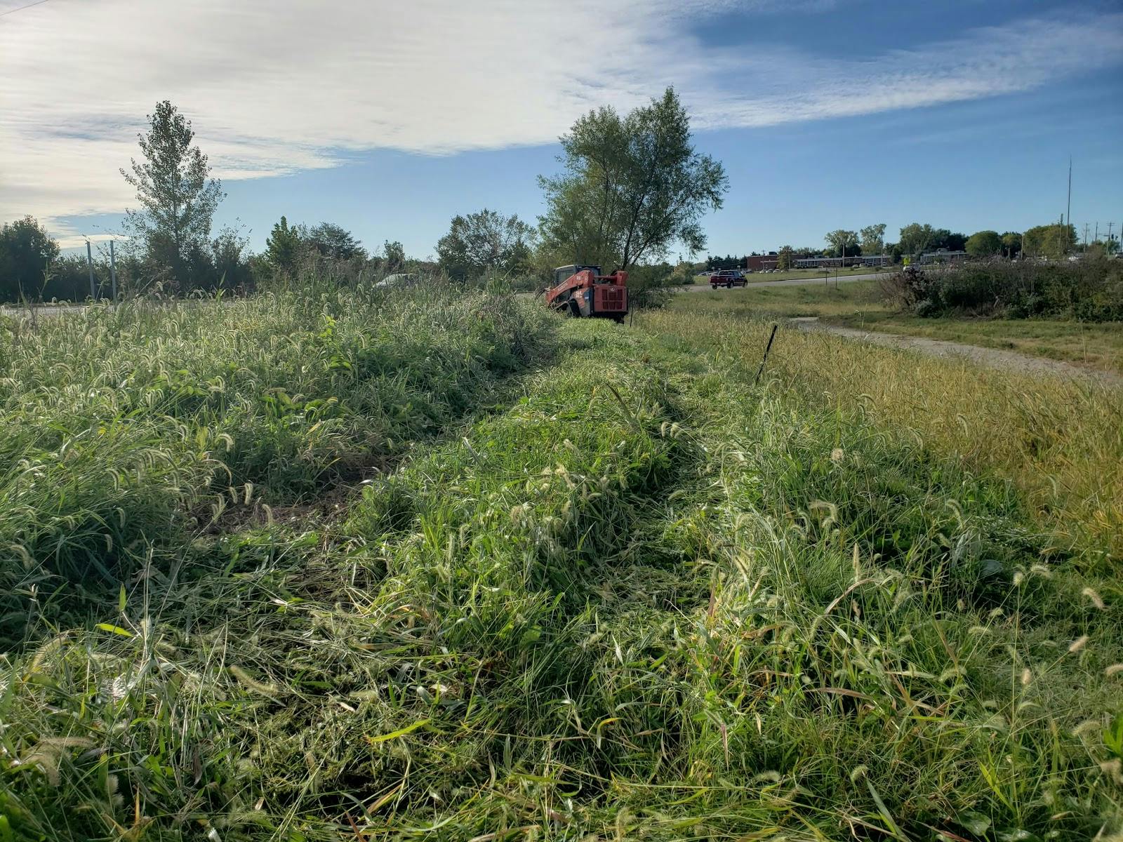 DJM Ecological Services.jpg