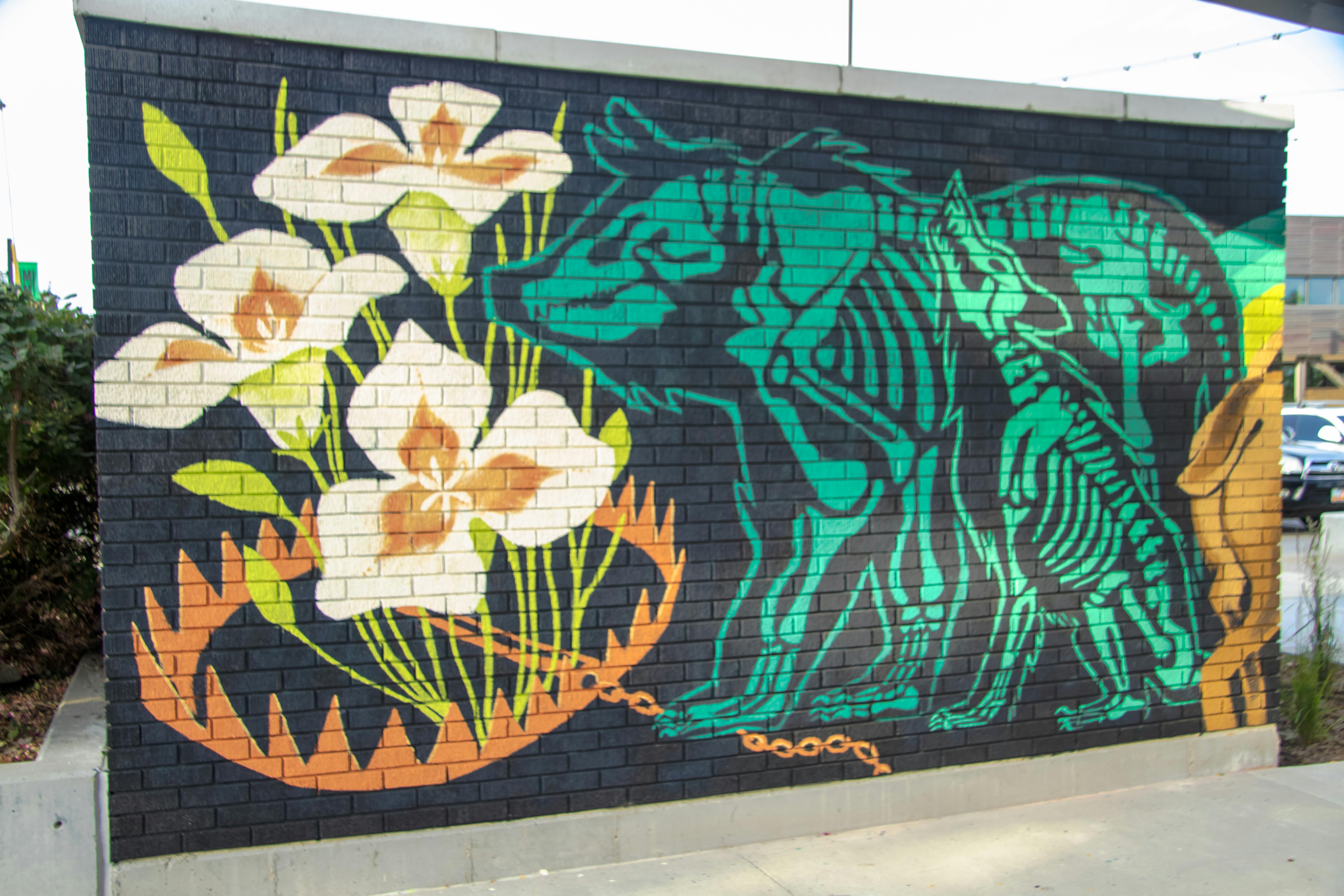 Eddie Chaffer (@son.visual)