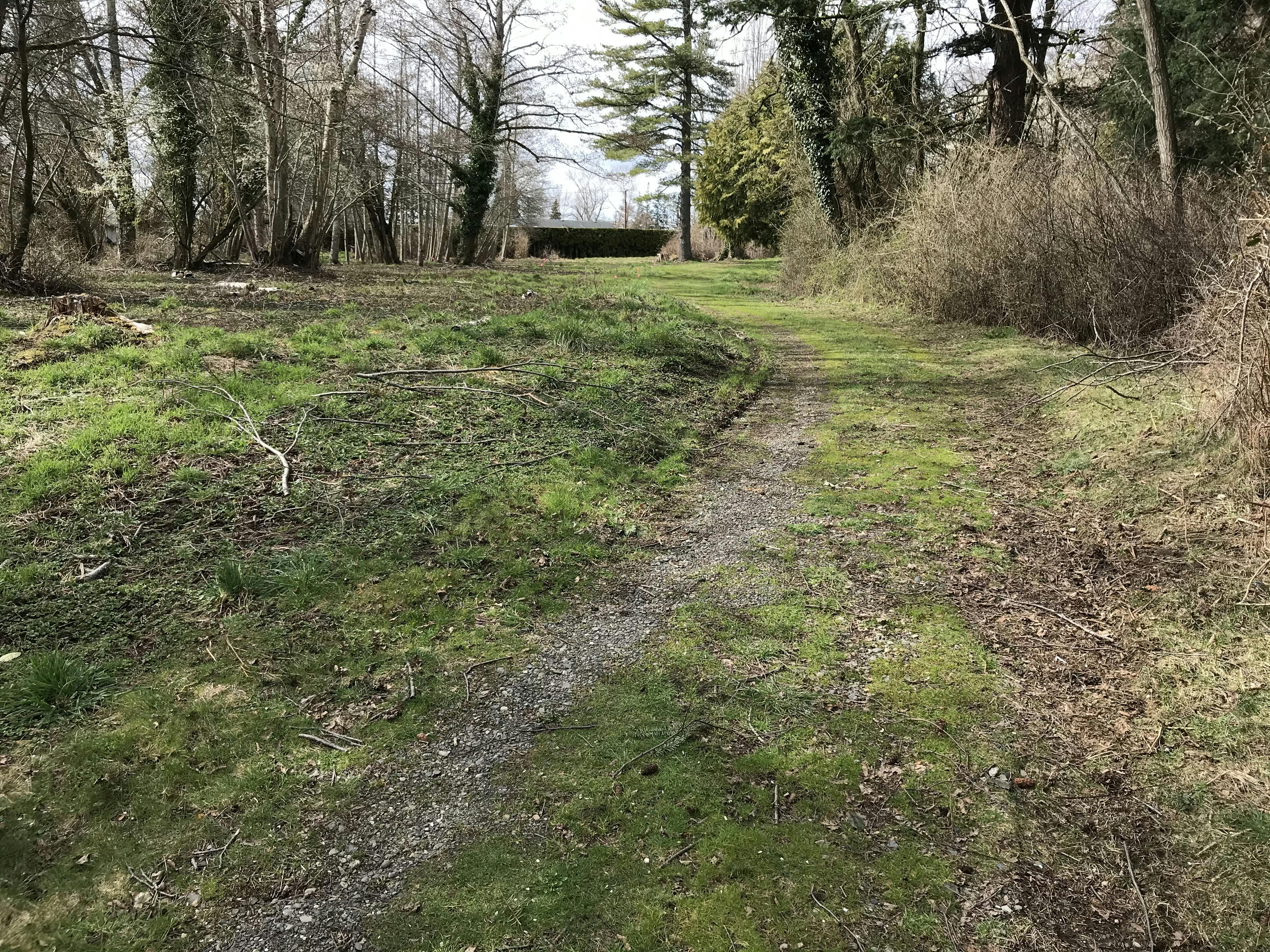 Old driveway alignment into the park