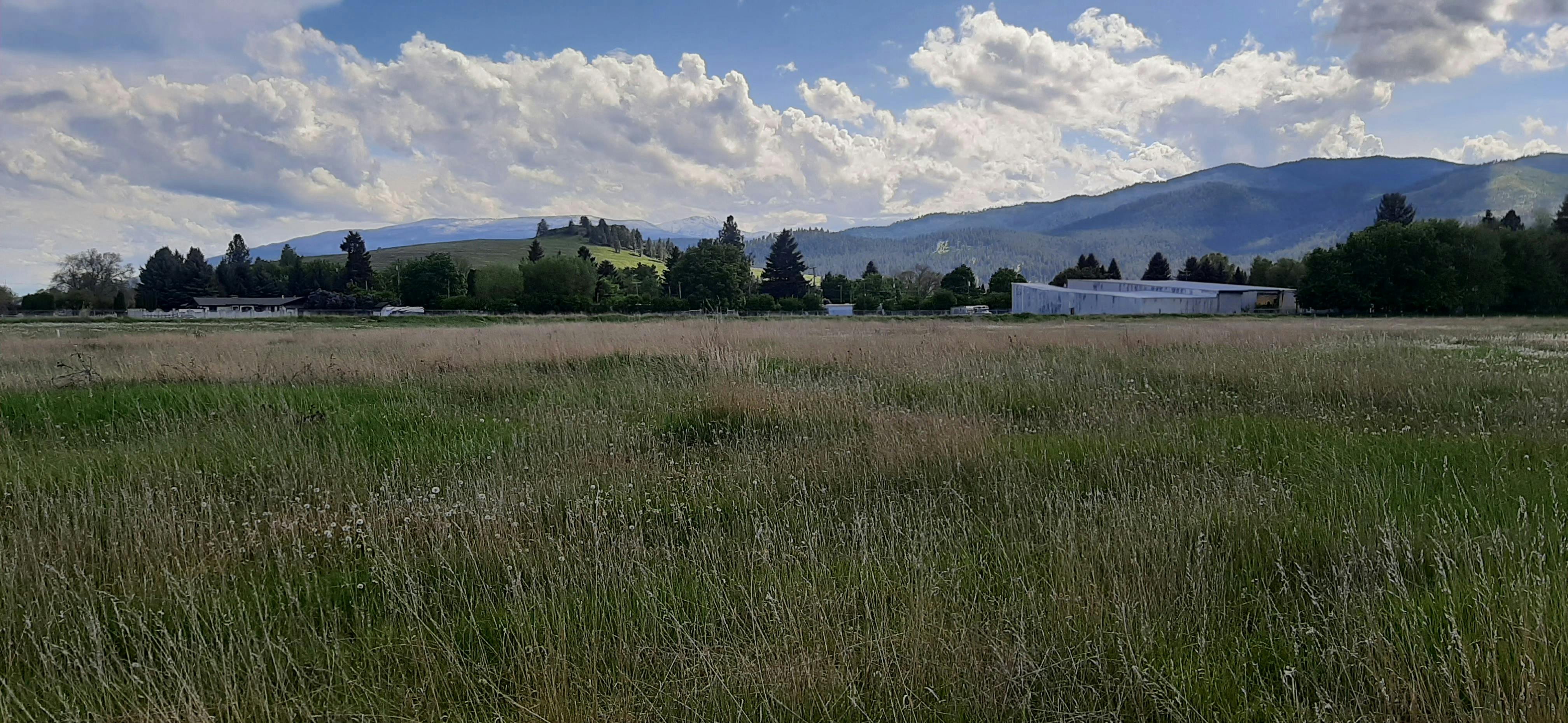 Dairy Subdivision Site - View from North Avenue