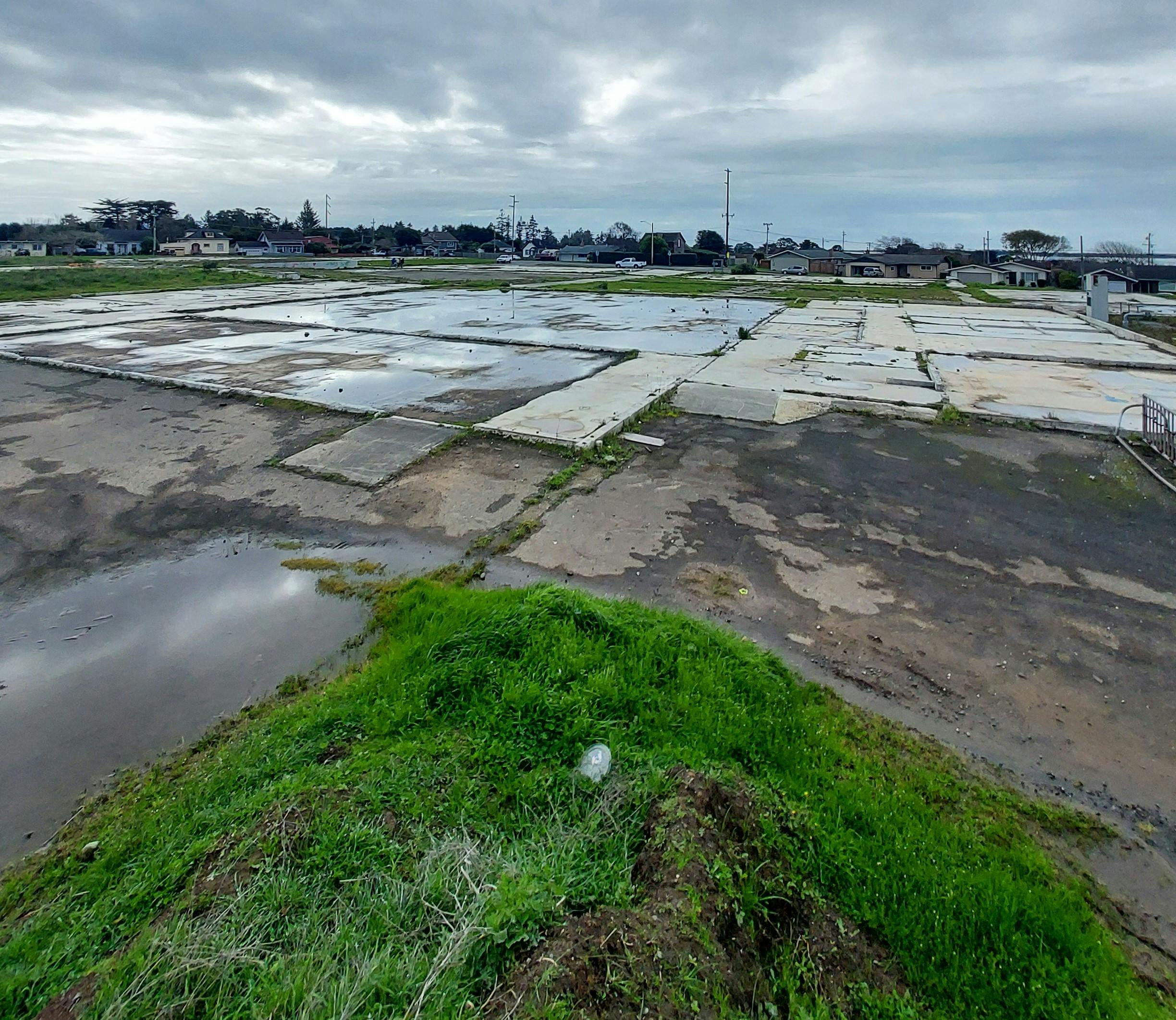 On Site Looking South.jpg