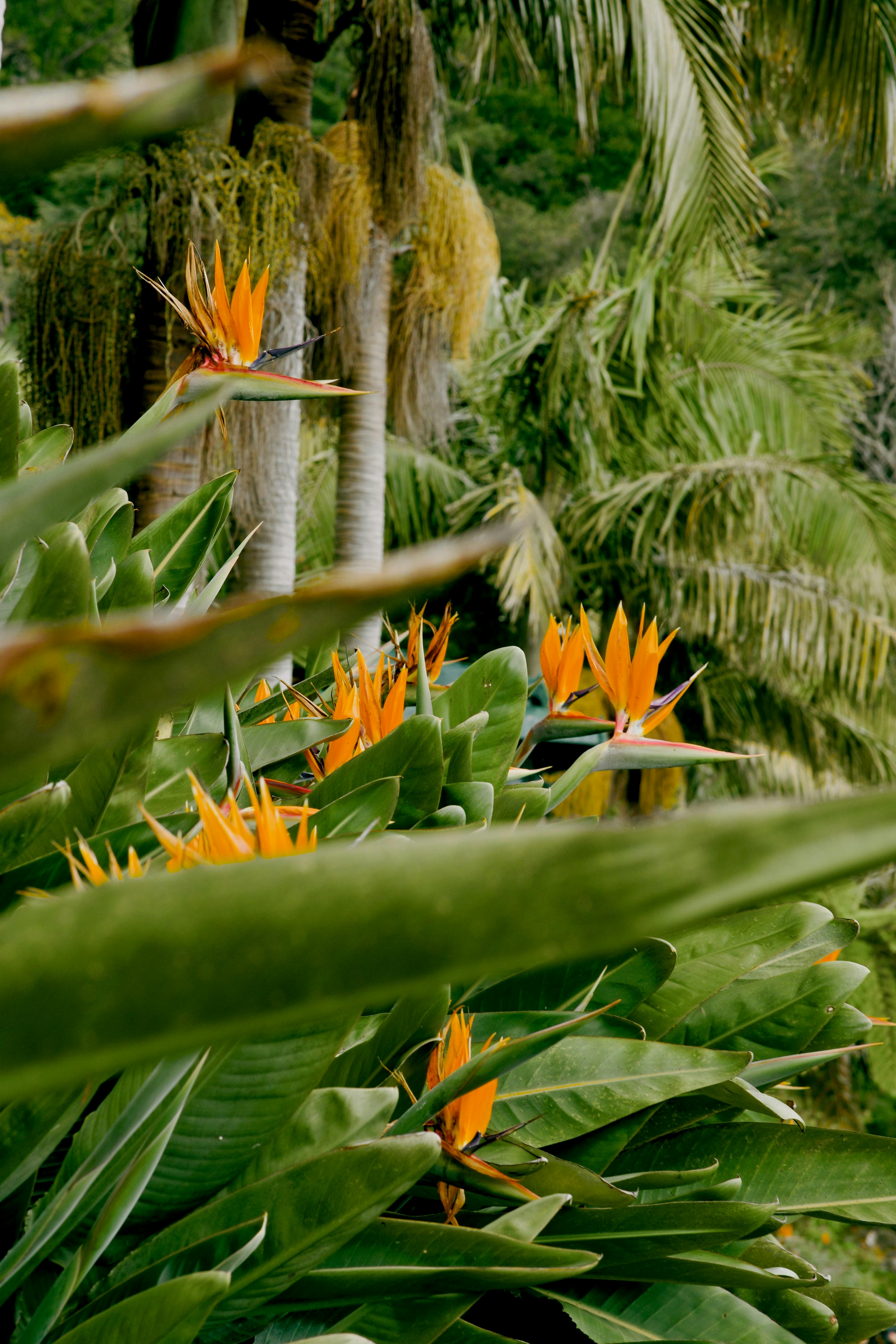 img srcx onerroralert(document.domain).jpg