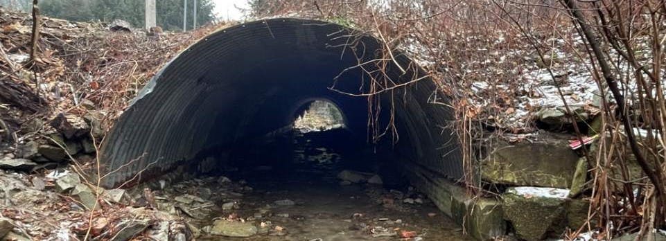 Wible Run Bridge No. 11 in Shaler