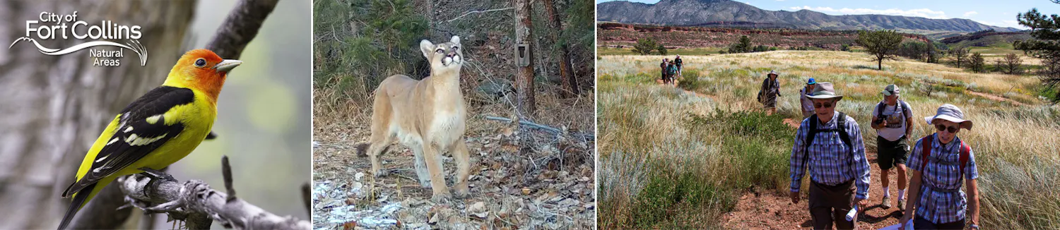Project banner includes photos of an oriole on the left, a mountain lion in the center, and people hiking on the right.
