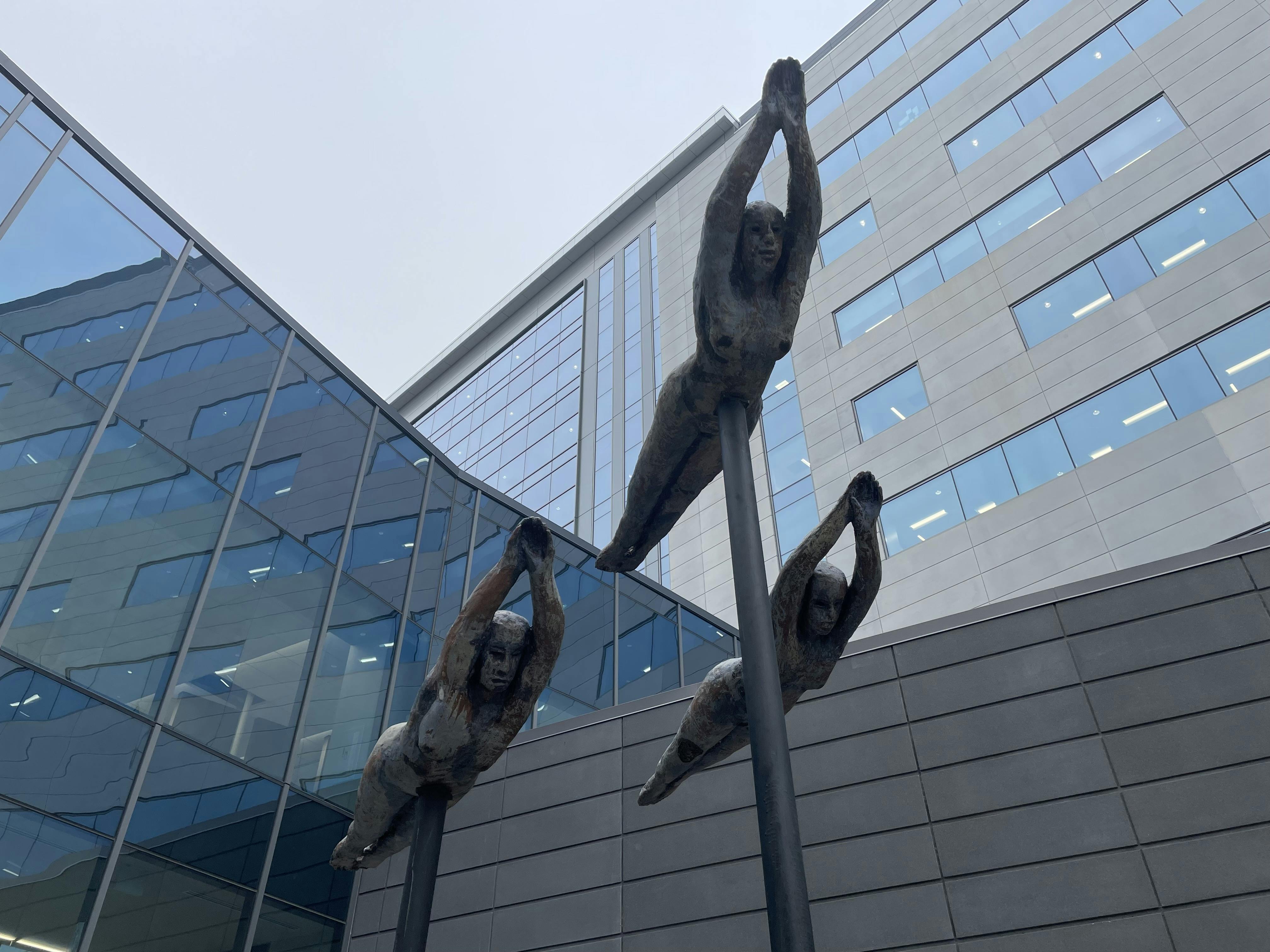 "Flyers at McClaren Hospital" Sculpture by Artist Mark Chatterley.jpg