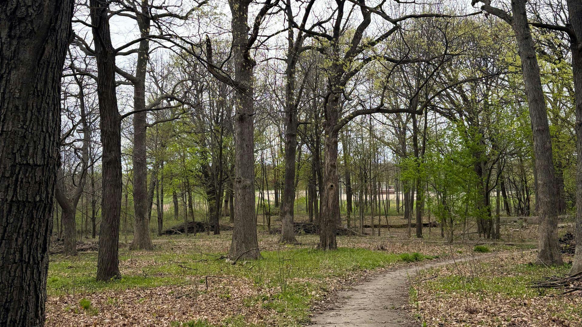 County Grounds.jpg