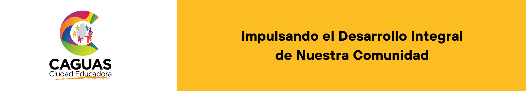 project banner