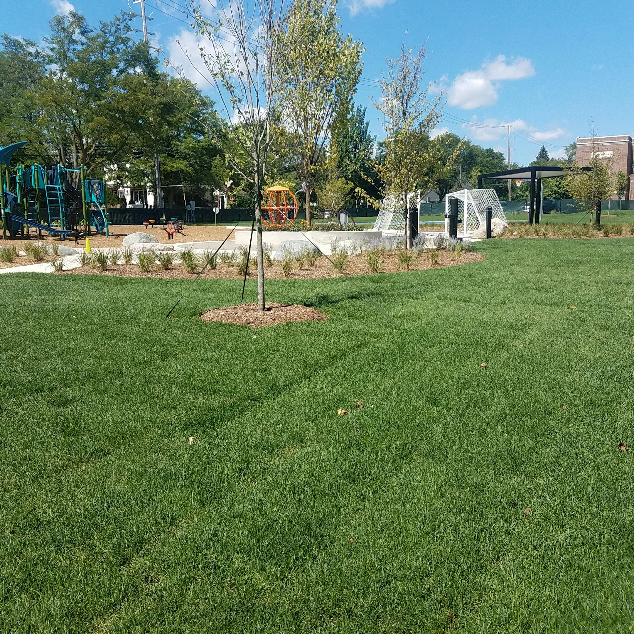 New sod looks great!