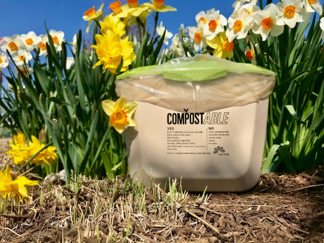 CompostABLE bucket in garden