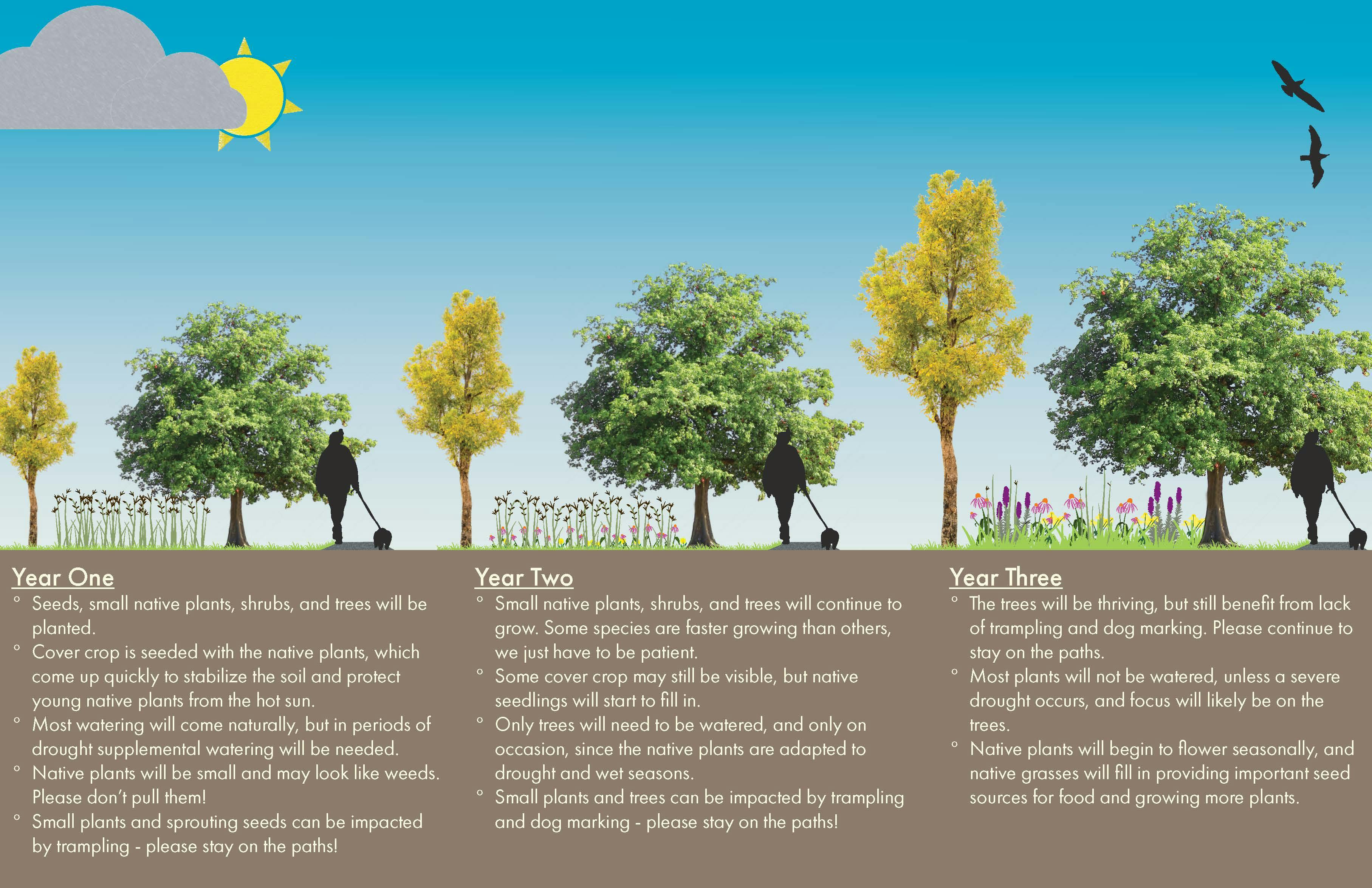 Restoration Phase Graphic_Page_1.jpg