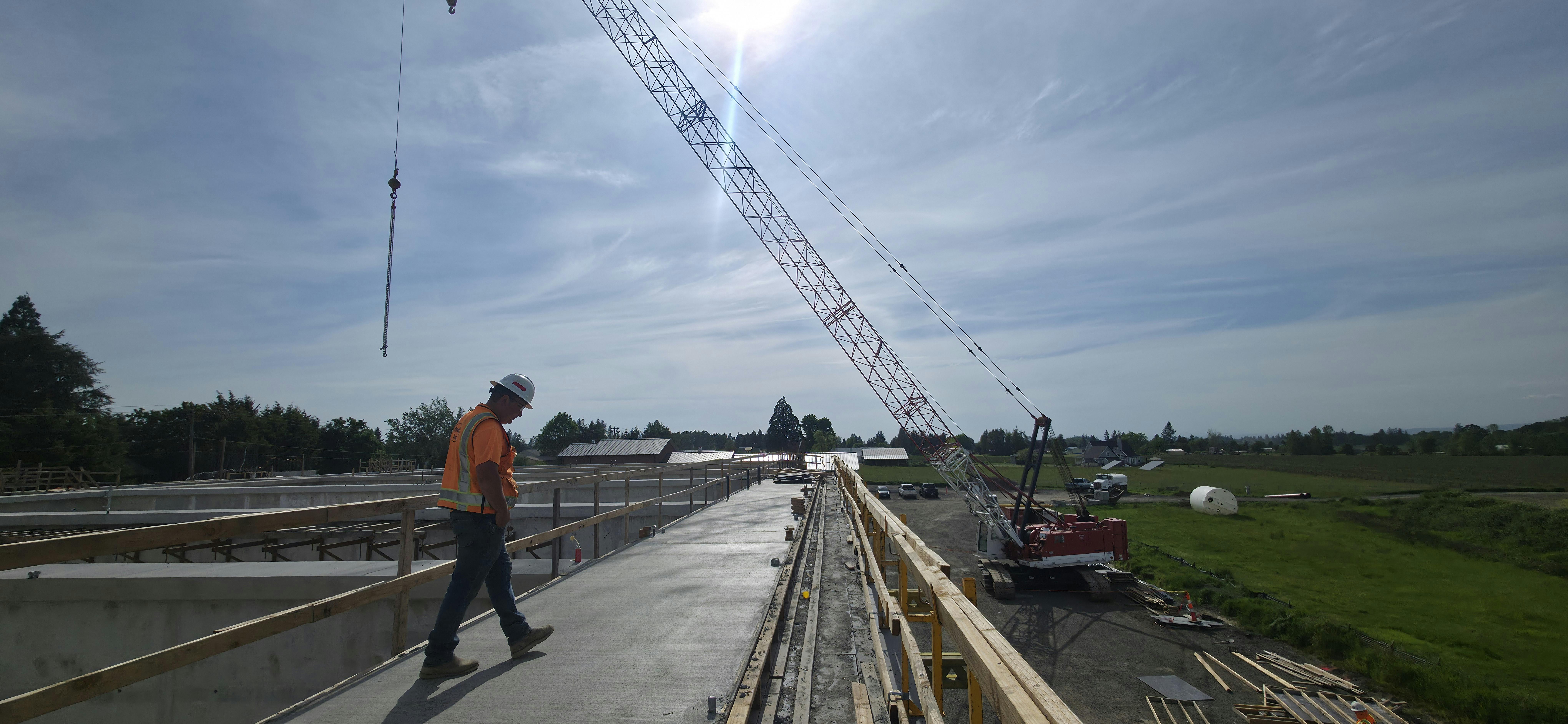 On Top of N. Calwalk.jpg
