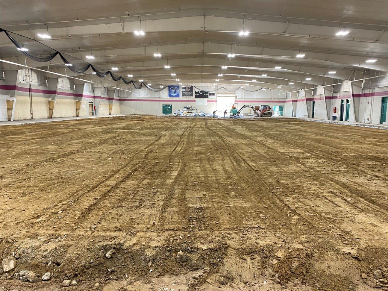 Rink - May 2021 Progress