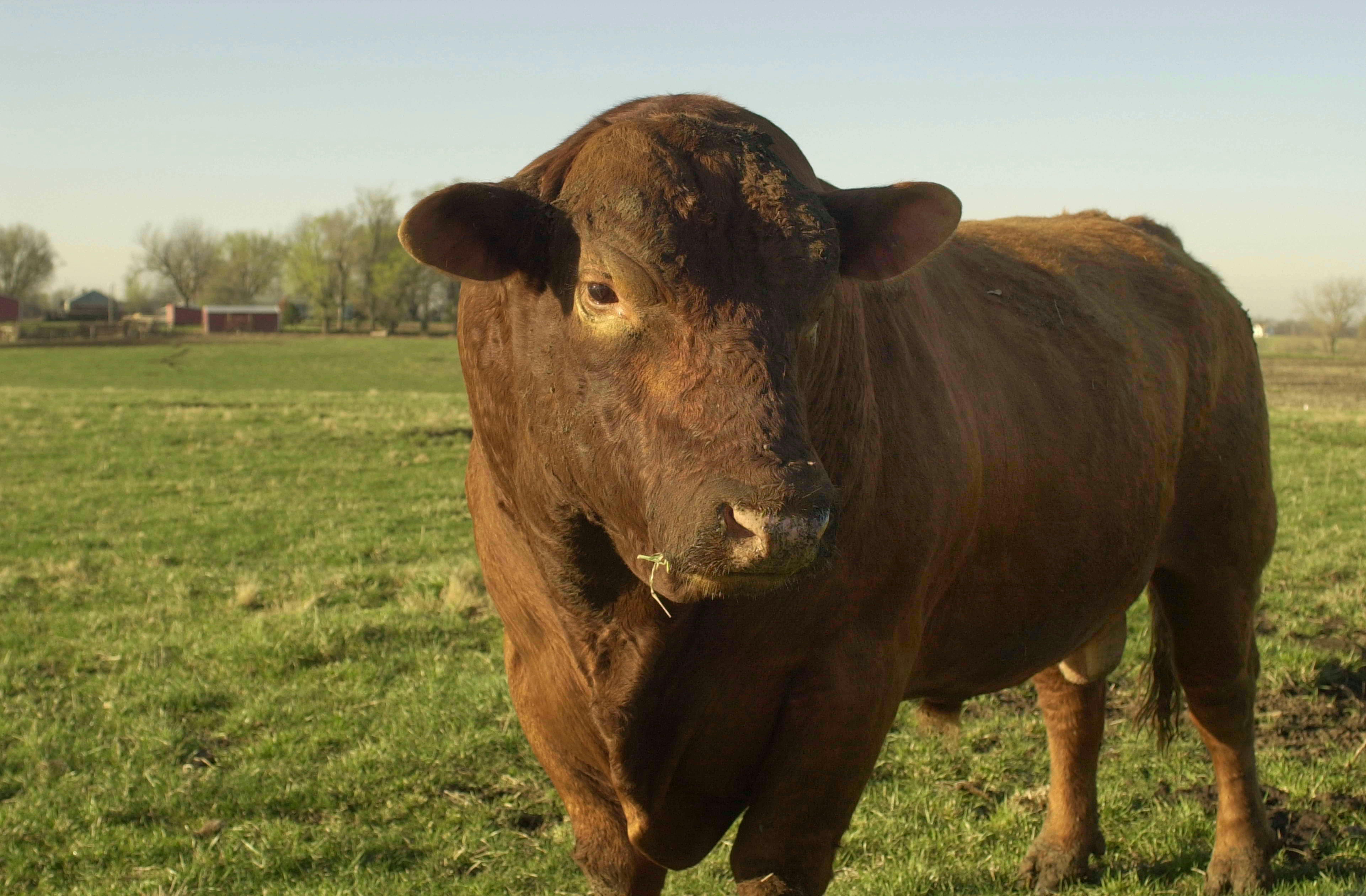 Clinton County Agriculture.jpg