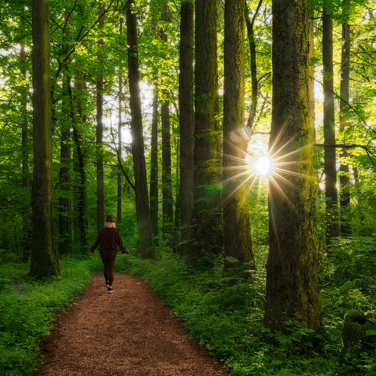 Category 4: Explore Wilsonville (co-winner Grand Prize)