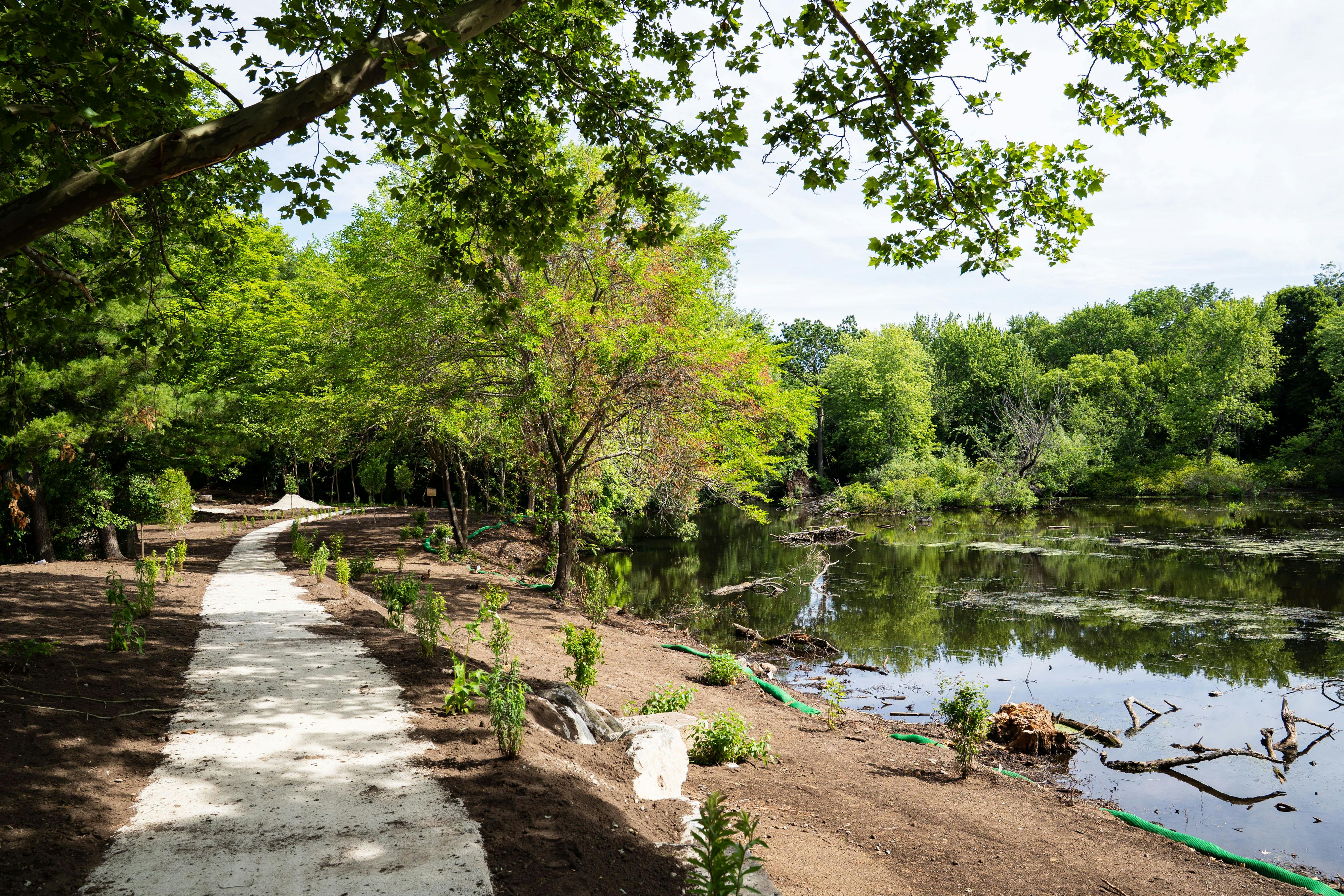 Stone Dust Path and Planting Installations, Looking North