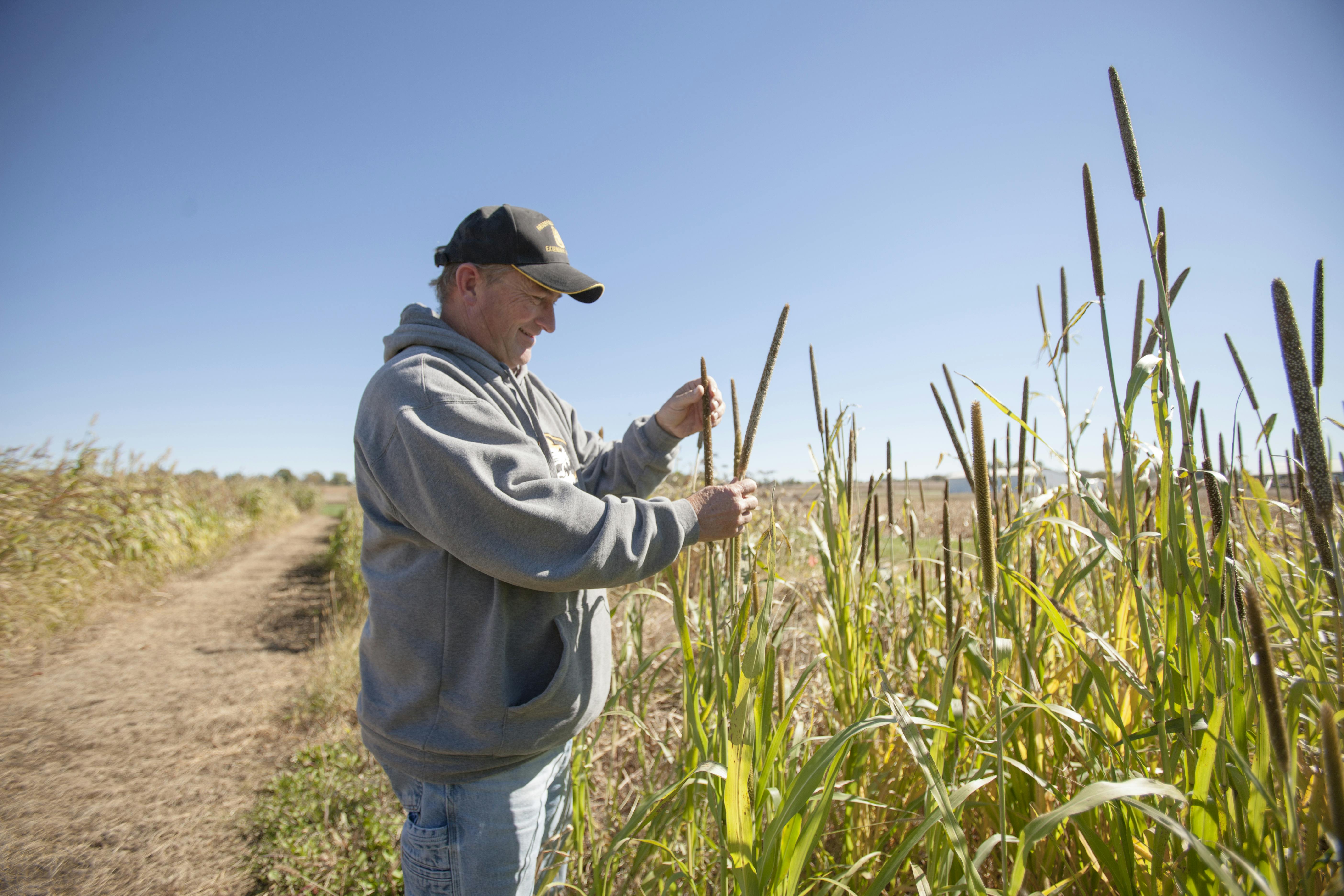 Albany_Agriculture.jpg