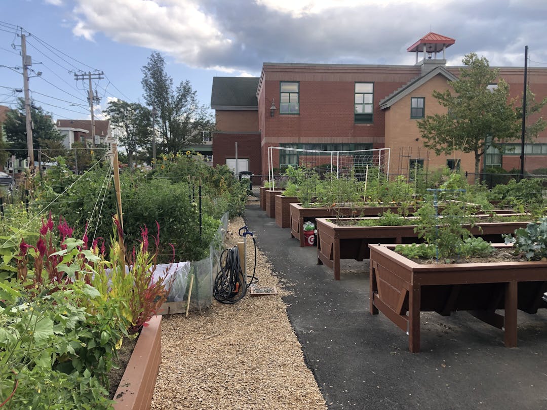 Glen Park Community Garden plots with Capuano School in the background