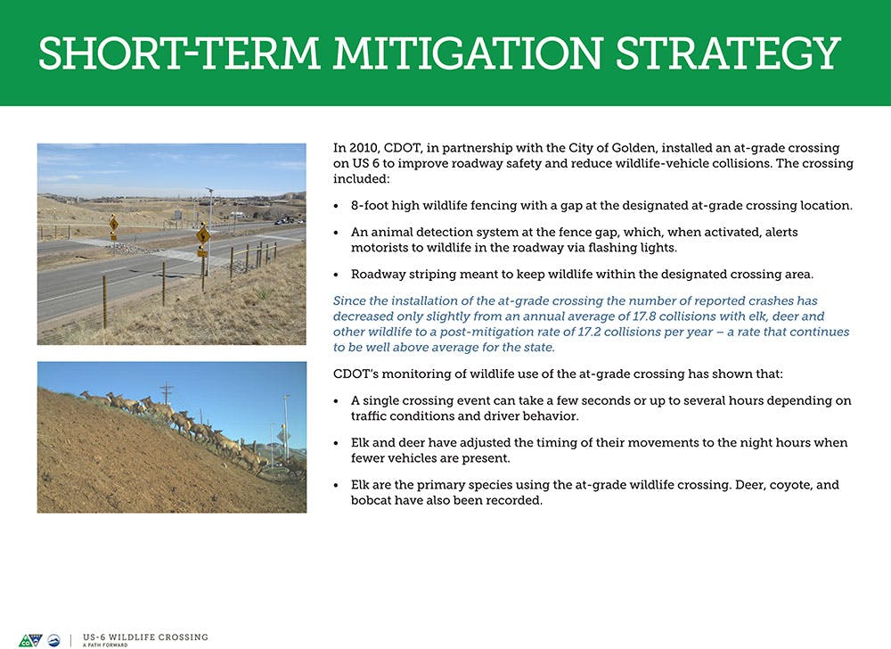 Wildlife Crossing Short-term Mitigation Strategy