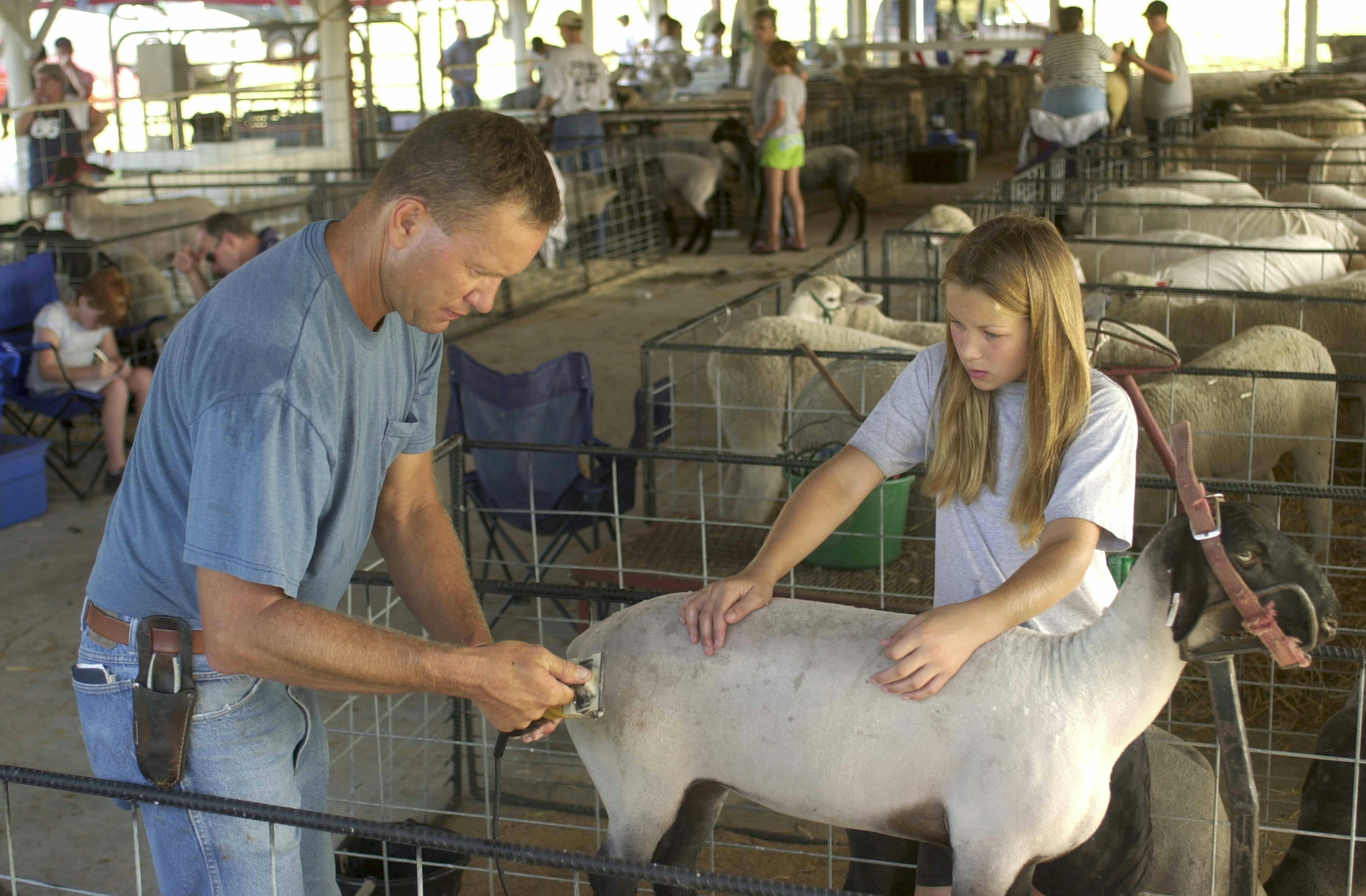 Clinton County Fair.jpg